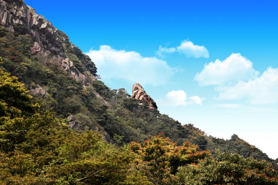 东莞景点_东莞旅游景点大全_景点大全东莞旅游图片