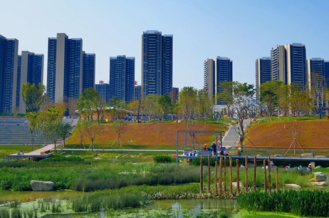 实景曝光!东莞cbd中心公园大批美图抢先看!