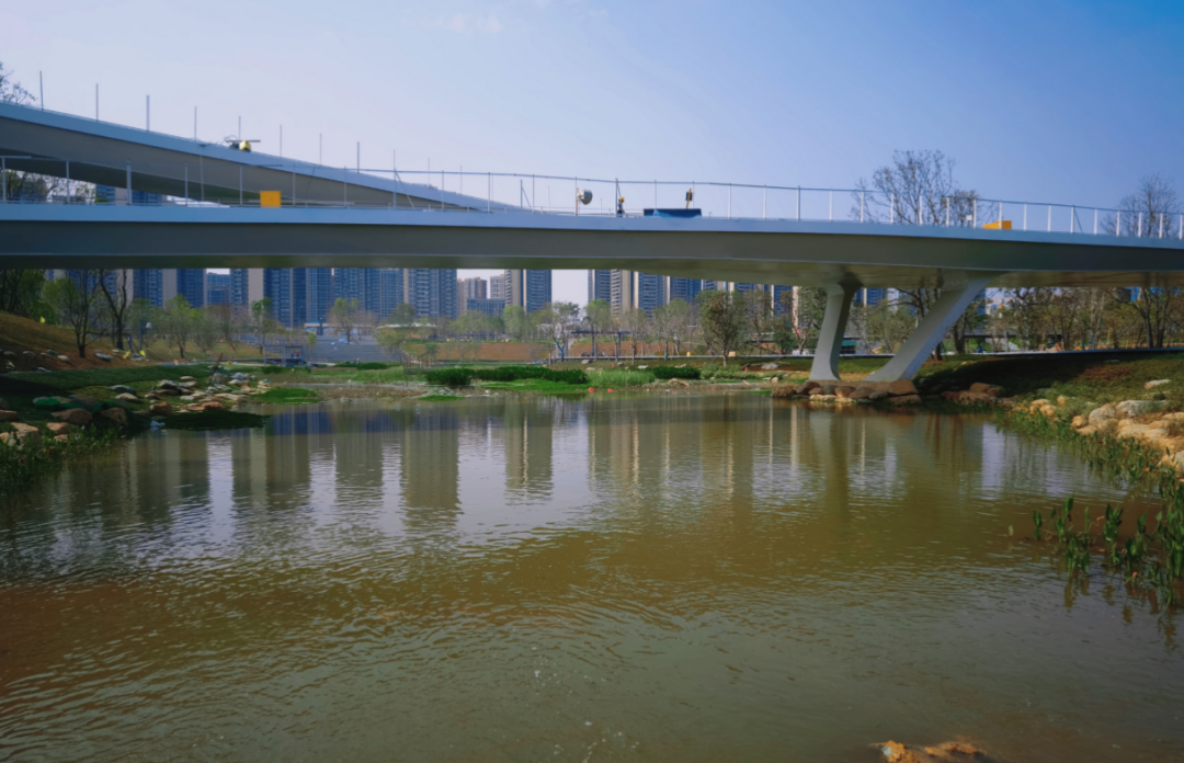 东莞cbd中心公园大批美图抢先看!