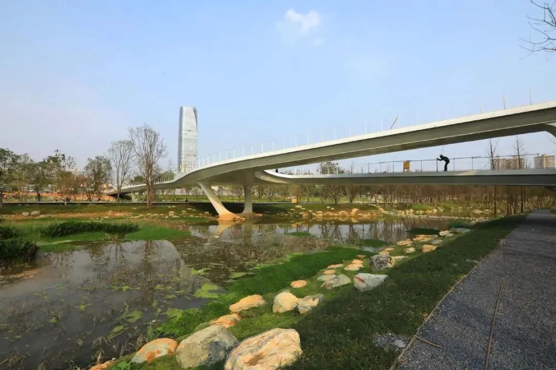 东莞中心公园!这些地方打卡超美的→_东莞阳光网