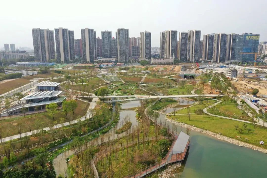 东莞中心公园!这些地方打卡超美的→_东莞阳光网