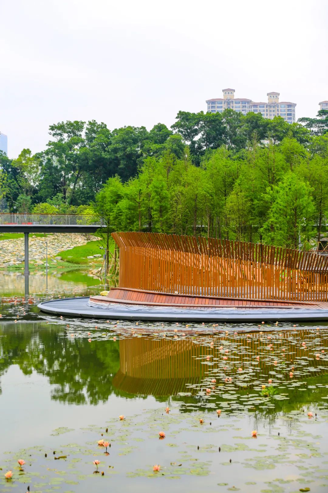 中心公园| 草坪撒野,溪旁漫步,在东莞cbd倾听花开的声音