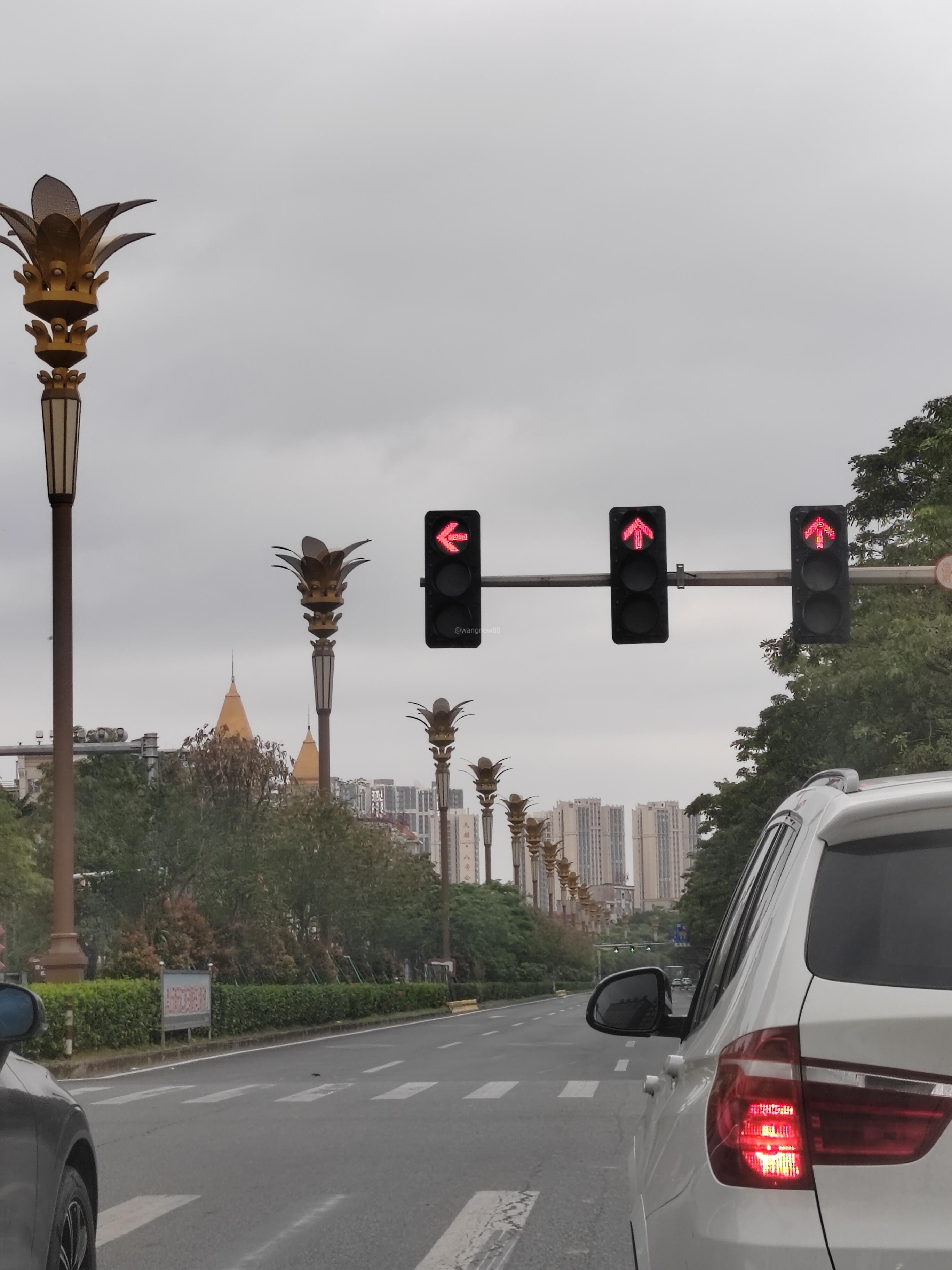 谢岗路怎么50米一个红绿灯