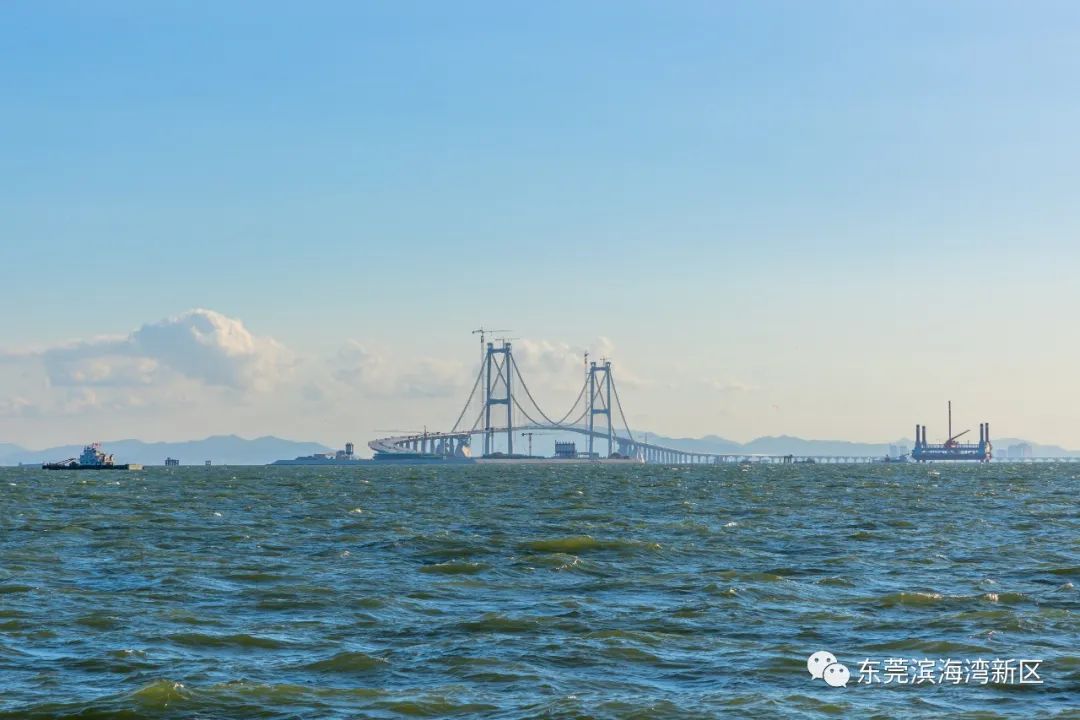 焕新空间"绿"动能,滨海湾加速点燃沙角半岛港城"蓝"引擎_东莞阳光网