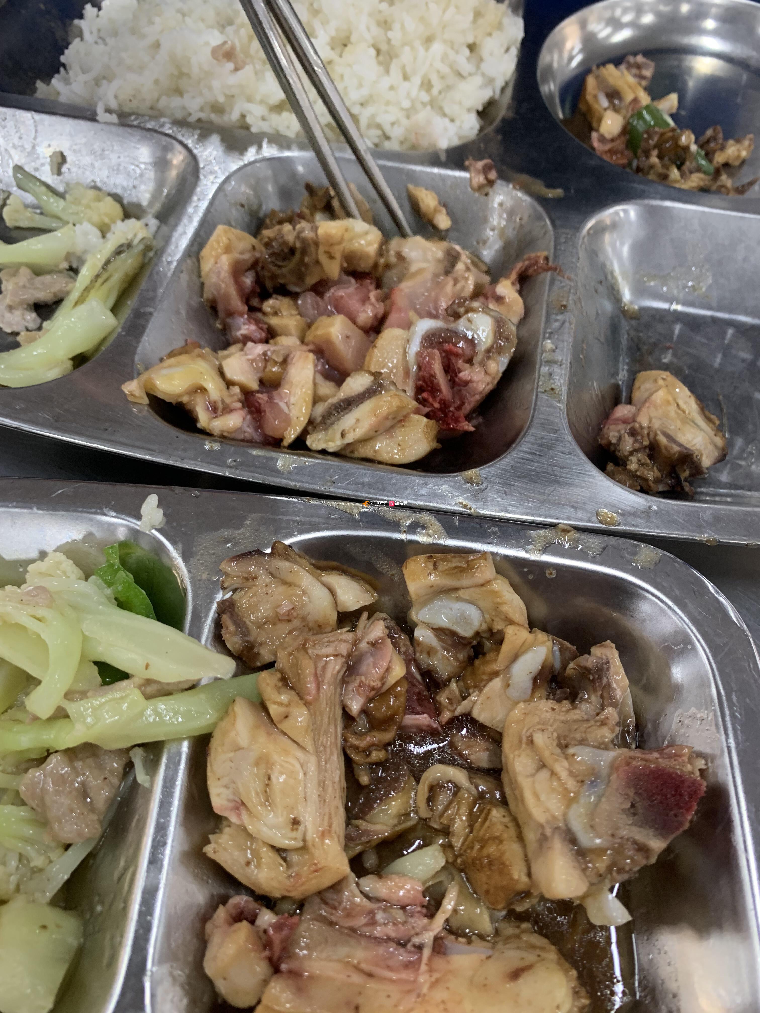 东莞城市学院食堂图片