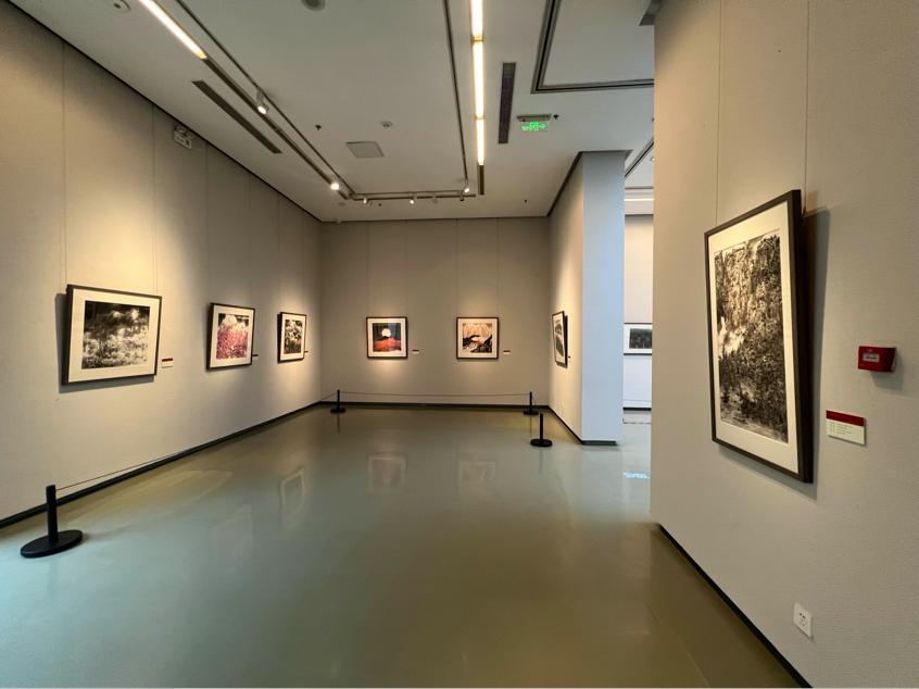 夏野水墨作品展亮相中国国家画院美术馆有不少作品在莞创作独具风格