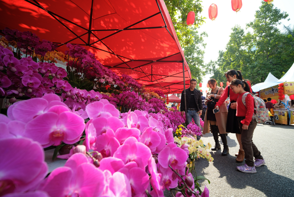 全國僅5席獲評年度消費熱力城市東莞為什麼能