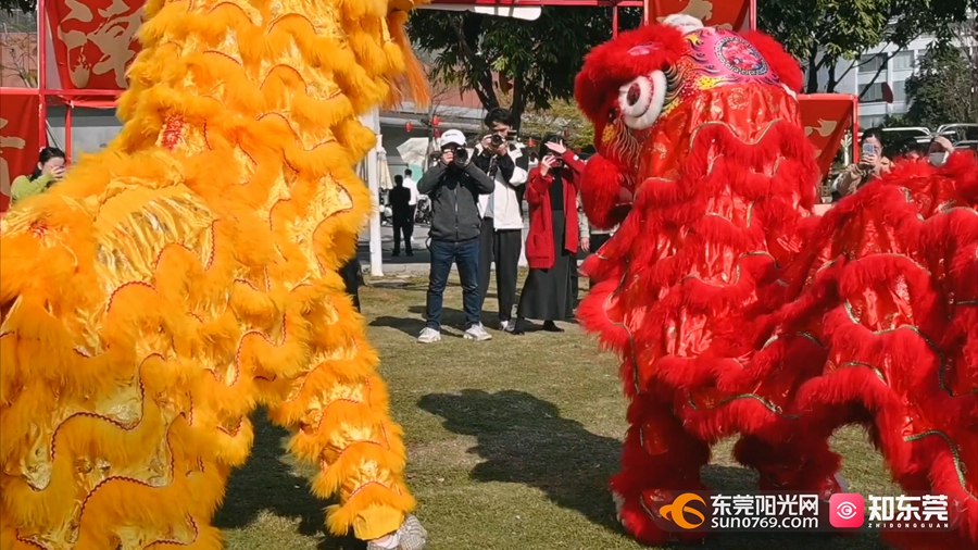 新春进莞来市场活力十足春节假期东莞迎来消费热潮