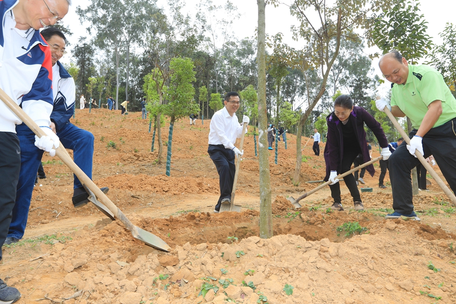 据悉,本次活动共种植浙江润楠,海南蒲桃,铁冬青,红桂木,阴香等乔木约