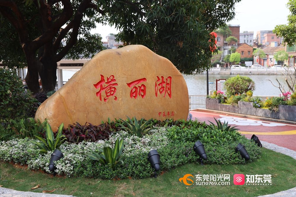 百千万工程寮步横丽湖公园焕新颜