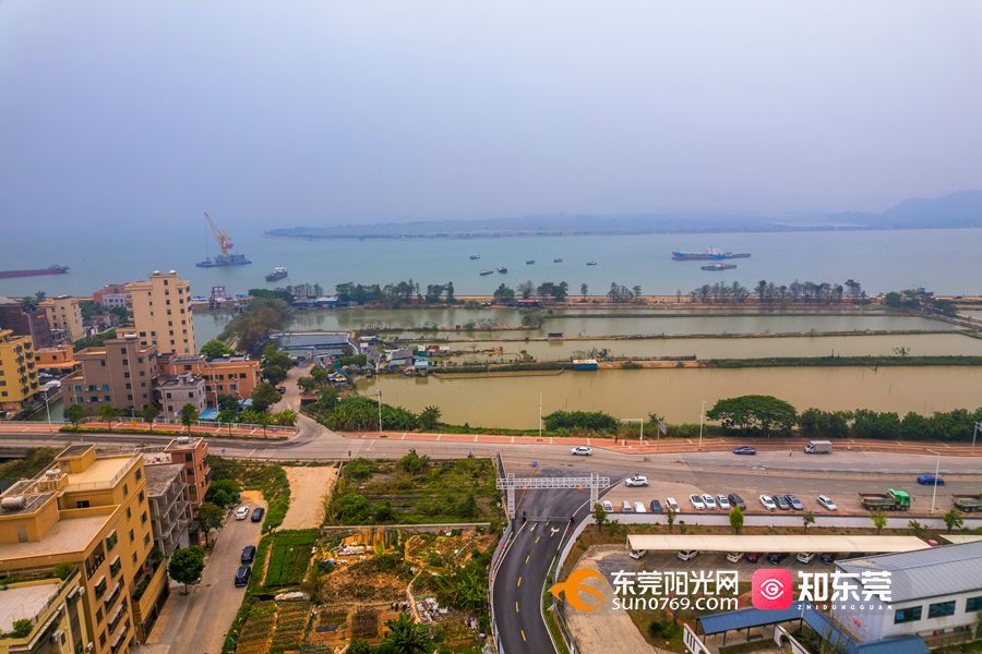 连接沙角威远!滨海湾又一座海景大桥来了→_东莞阳光网