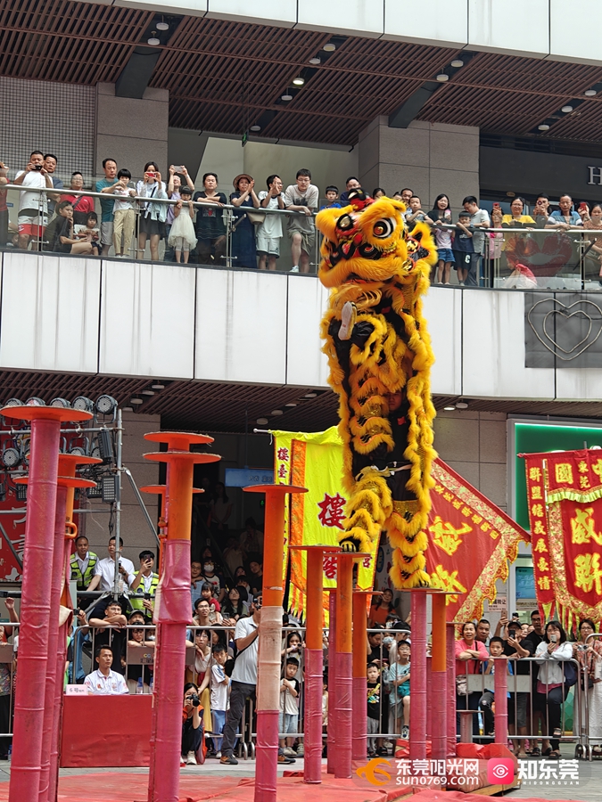"狮王"诞生!广东四大名镇醒狮队齐聚石龙以"狮"会友