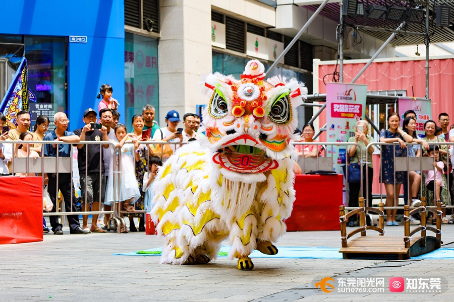 "狮王"诞生!广东四大名镇醒狮队齐聚石龙以"狮"会友