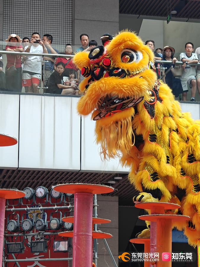 "狮王"诞生!广东四大名镇醒狮队齐聚石龙以"狮"会友