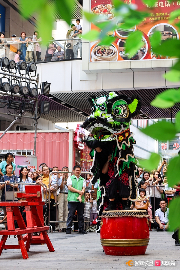 广东四大名镇醒狮队齐聚石龙以"狮"会友_东莞阳光网