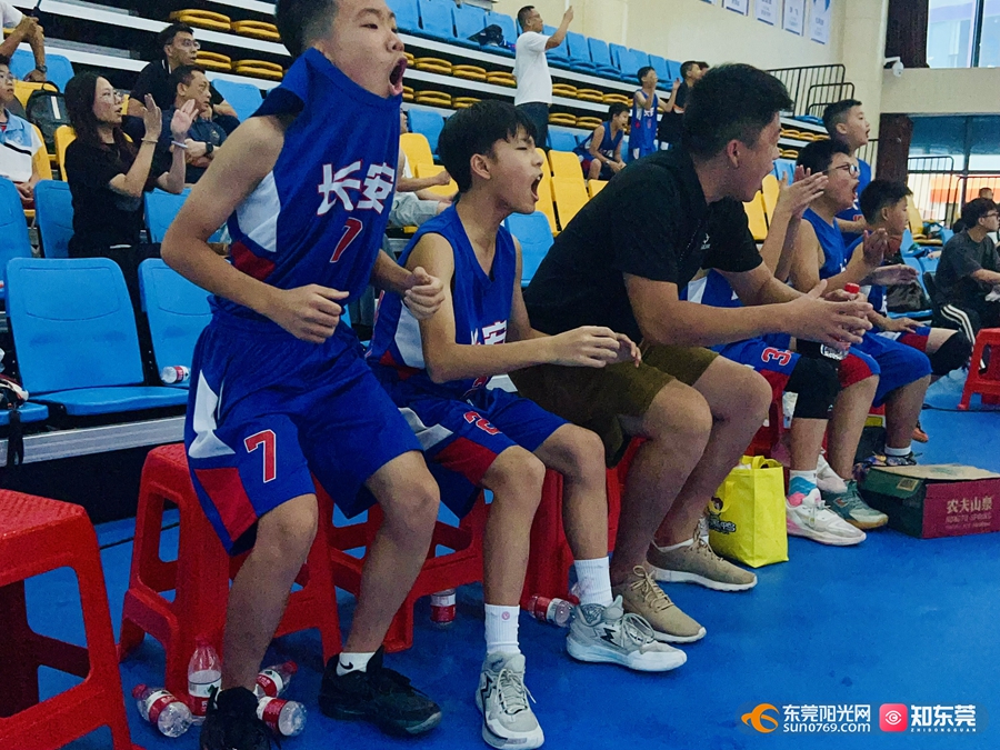 东莞市学生运动会|这71支篮球队争夺东莞小学校际最高殊荣