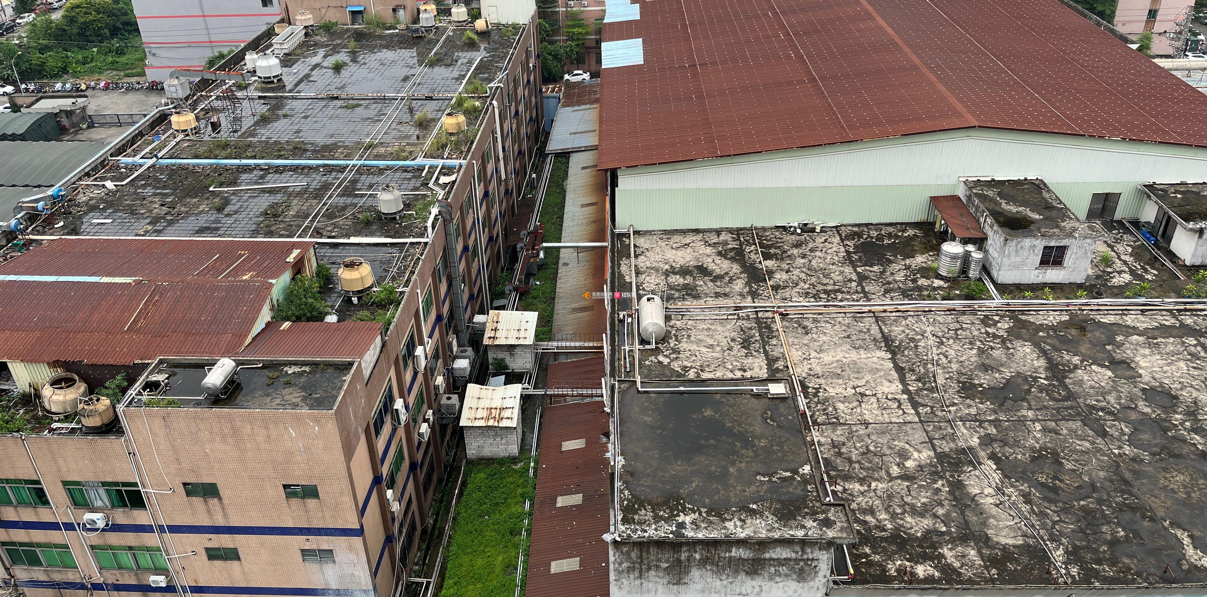 虎门白沙大泰光电偷排剧毒气体严重扰民