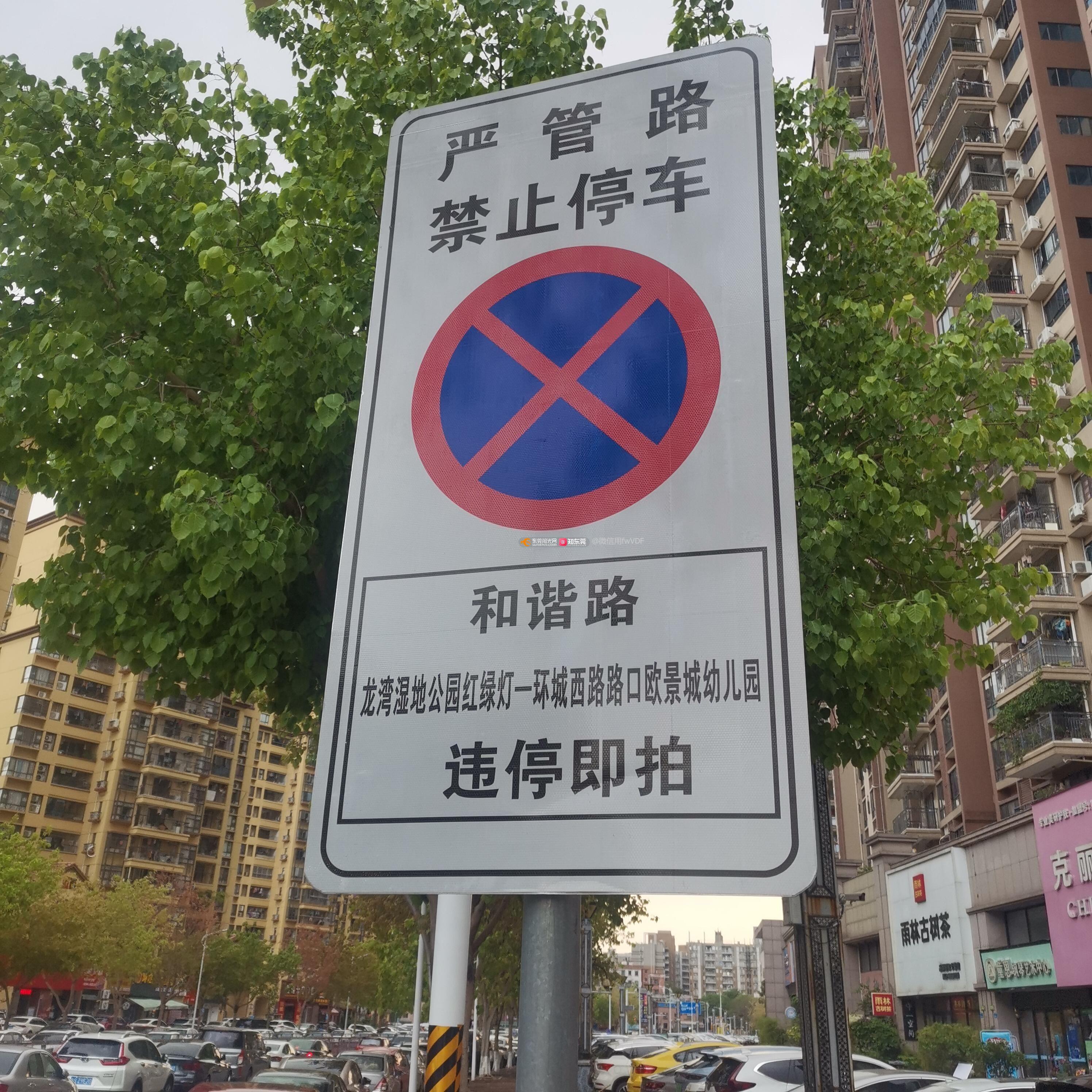临时号牌车辆违停 临时号牌车辆违停
