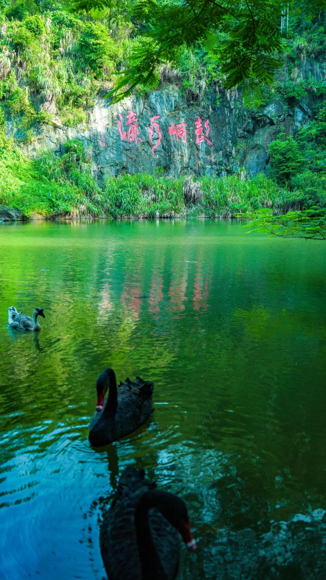 水濂山顶图片