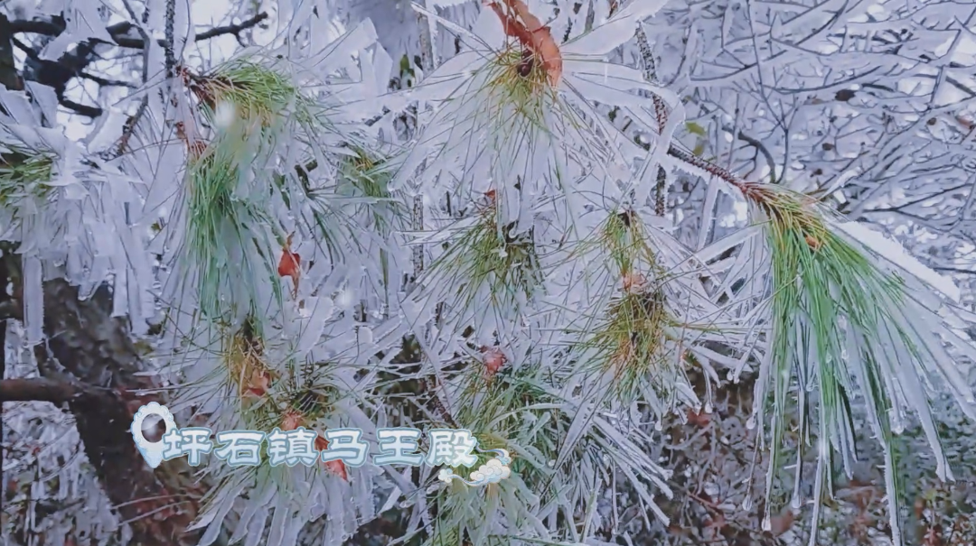 跌破-2℃!广东现雾凇、冰挂奇观!新一轮冷空气马上抵莞→