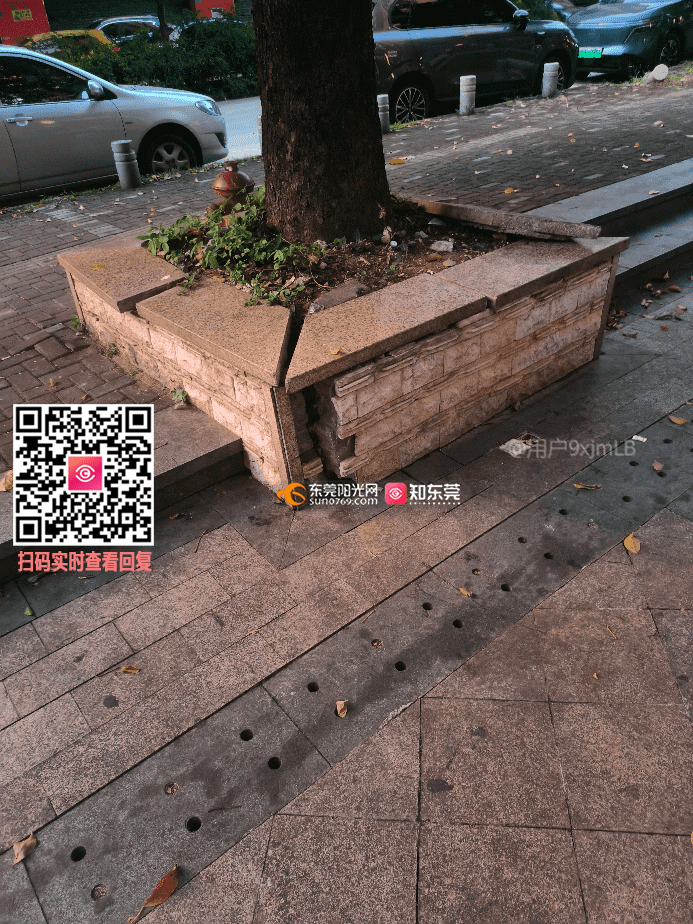 企石先烈路树池破损-阳光热线问政平台