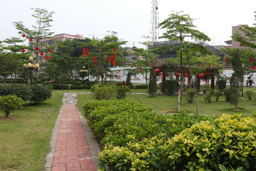 大朗松柏朗荔枝公园成打卡好去处