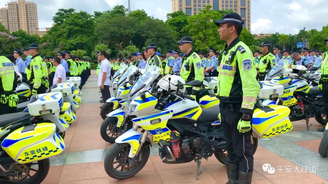 大岭山镇委副书记,政法办书记欧阳振球,镇委委员,公安分局长杨方煜