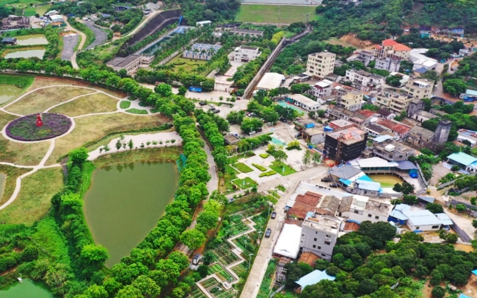 塘厦龙背岭社区将开展村庄规划优化提升试点