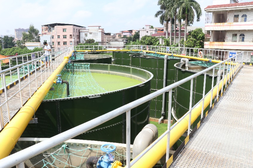 1【标题】大朗:7座临时污水处理应急设施有效改善河涌水质 (5)~1.jpg