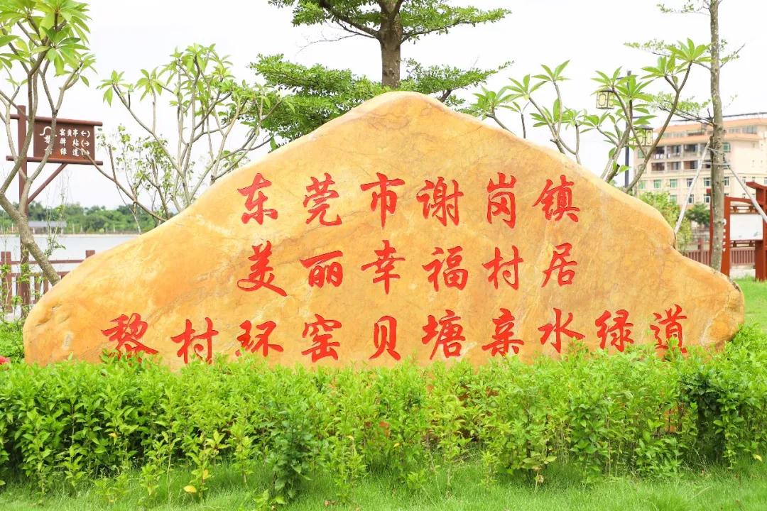 谢岗镇黎村村优化人居环境,提升村民幸福指数-知东莞