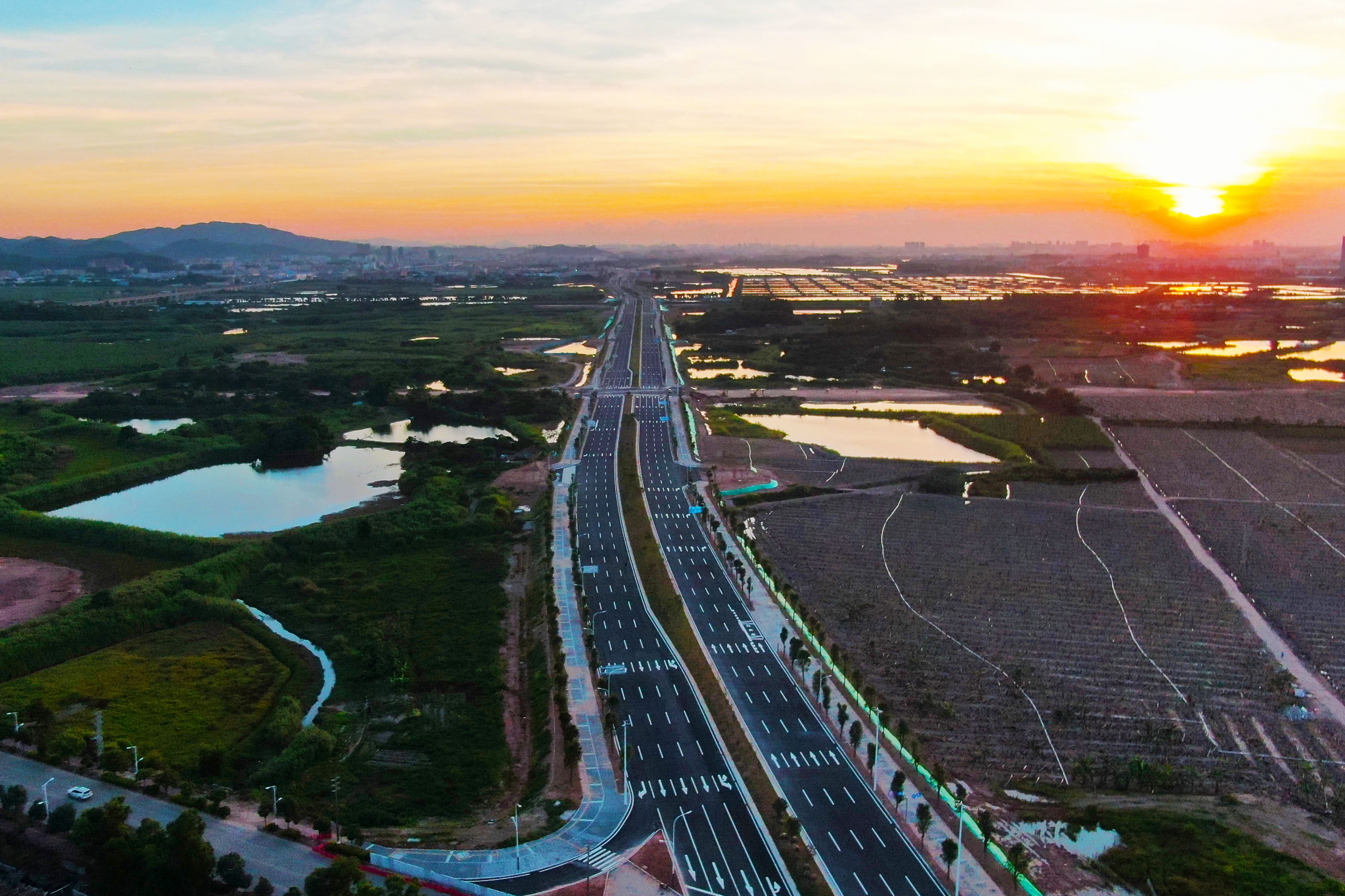 粤海大道 (4).jpg