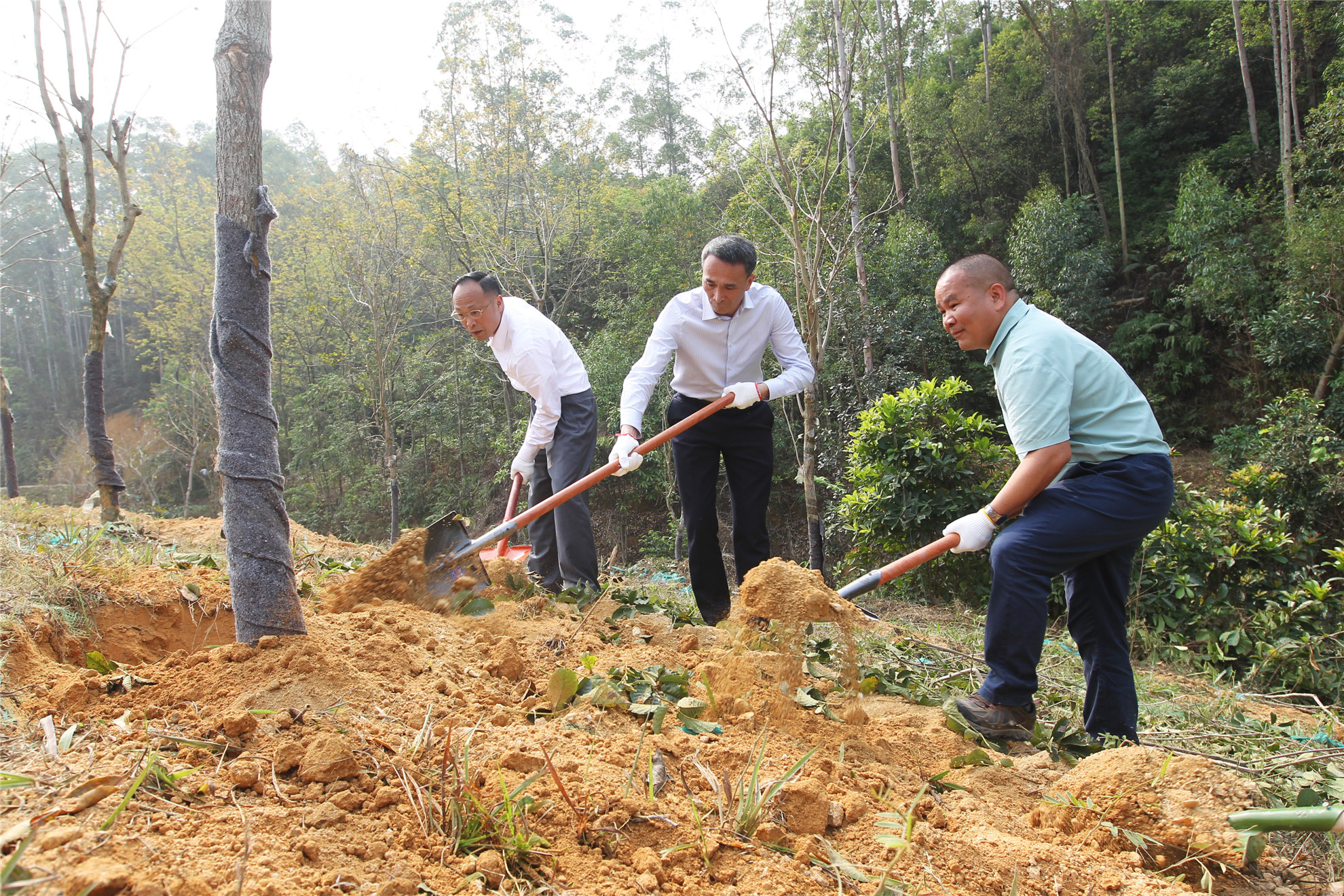镇委书记周伟森,镇委副书记孟建国,温泉华,镇委委员袁兆桂以及樟木头