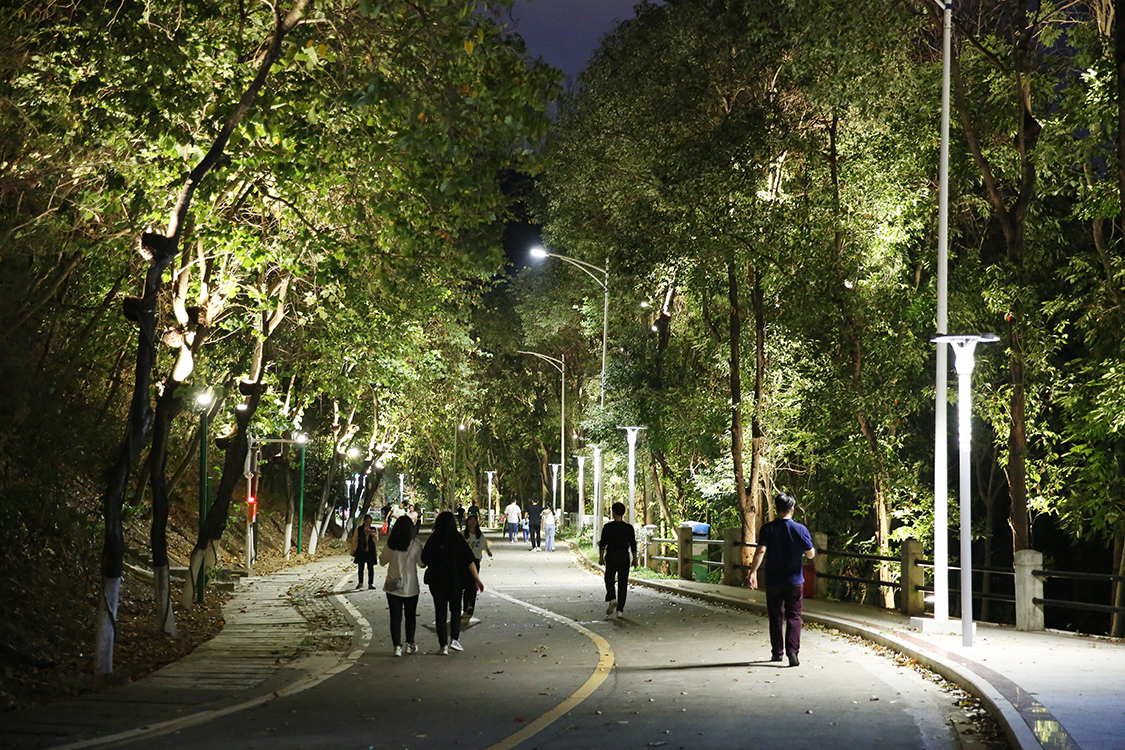 又一夜景打卡地亮相凤岗人民公园新升级文创夜景