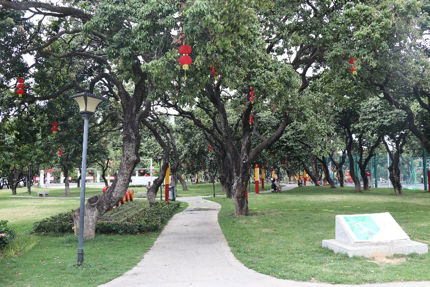 大朗松柏朗荔枝公园成打卡好去处