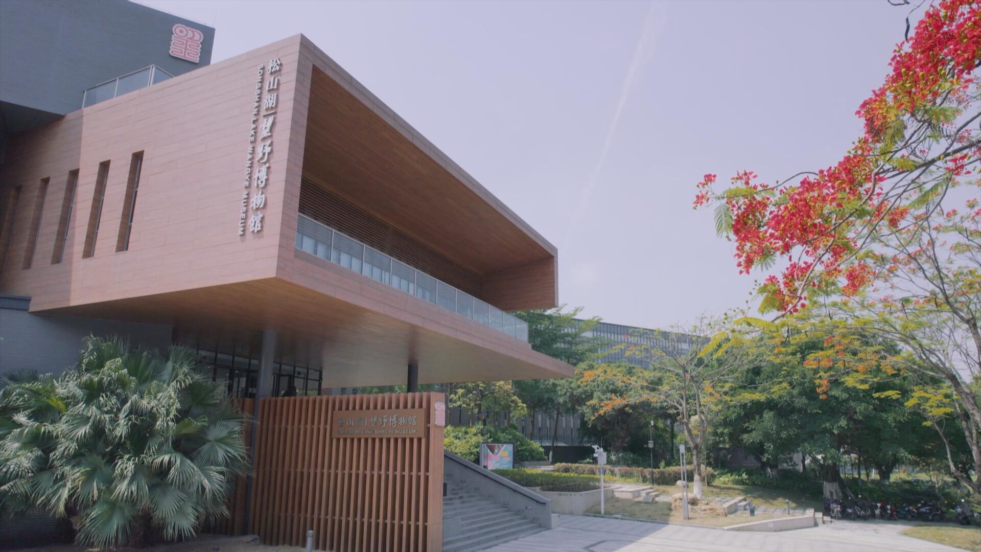 松山湖望野博物馆图片