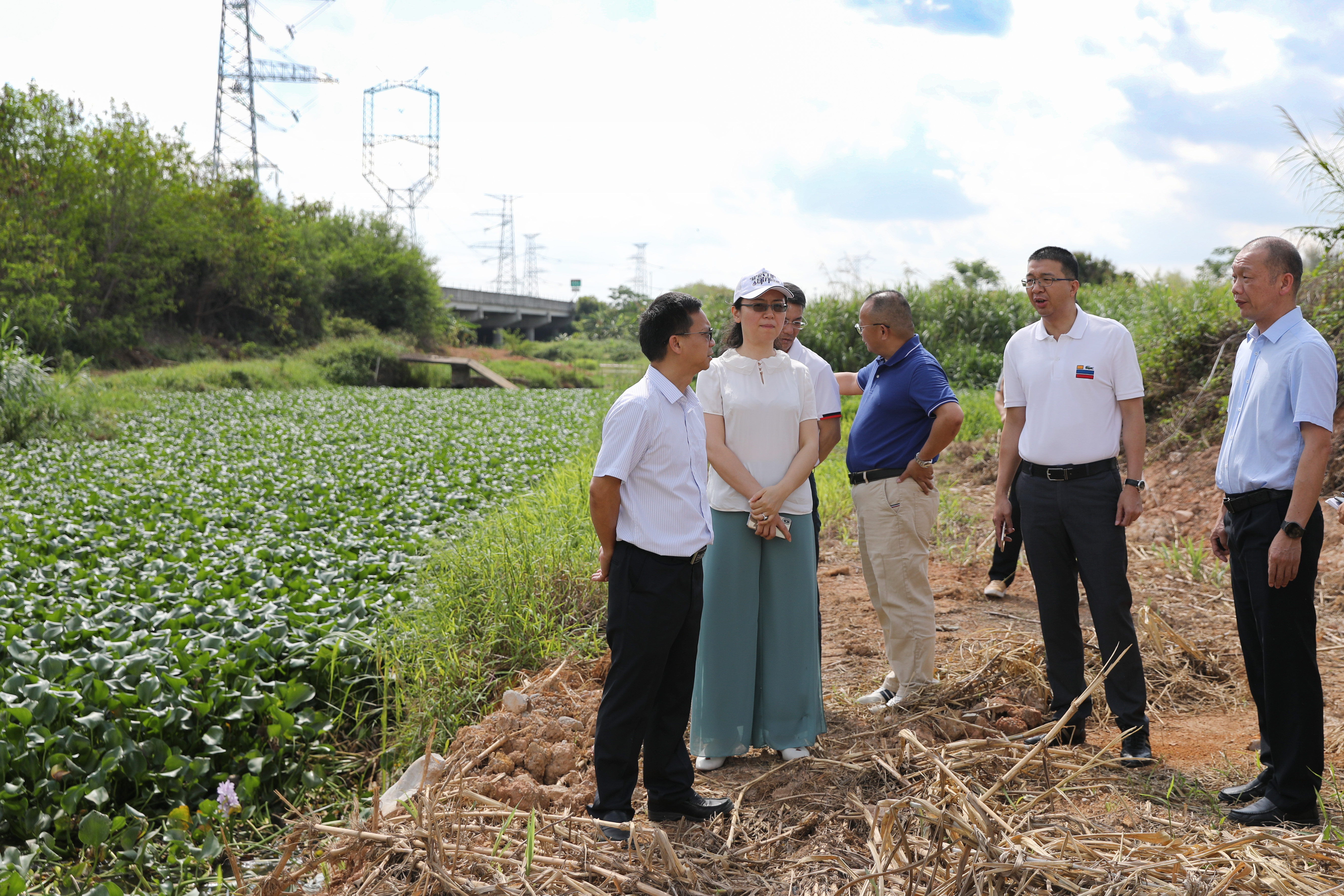 到大龙村大墩村小组,黎村村麻湖塘,黎村截洪渠,银湖排站,谢岗涌等地