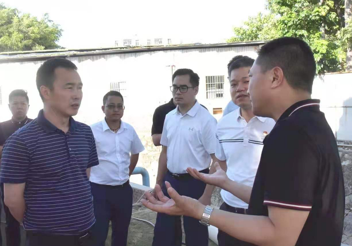塘厦镇委副书记,镇长任奎督导调研利是陂水综合整治工作-知东莞
