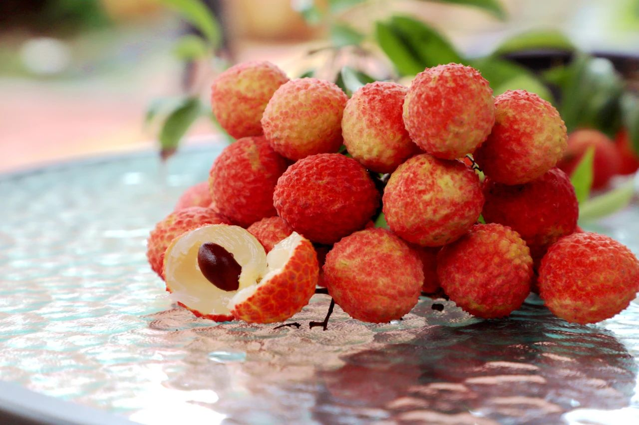 岭丰糯荔枝——大岭山荔枝特有荔枝新品种