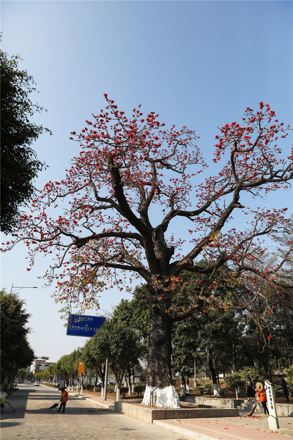 乡村振兴企石镇铁岗村乡村振兴进行时奋力开创农村宜居宜业新面貌