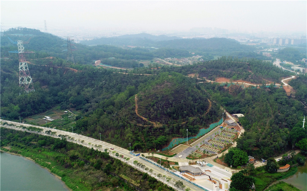 乡村振兴企石镇铁岗村乡村振兴进行时奋力开创农村宜居宜业新面貌