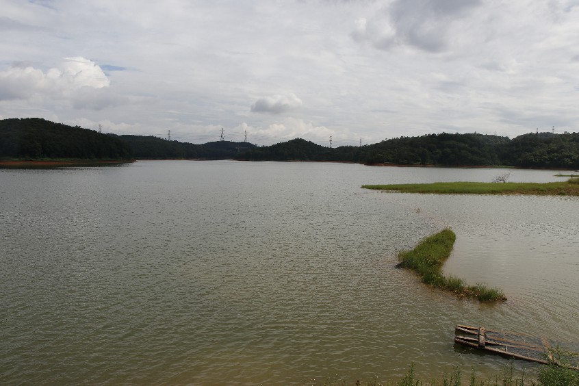 组一行在大朗镇相关领导的陪同下,来到罗田水库饮用水水源保护区调研