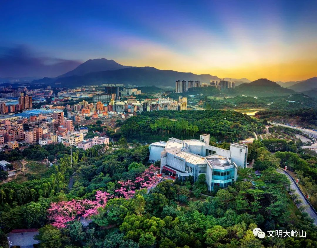 广东东江纵队纪念馆成为全市开展党史学习教育的打卡点