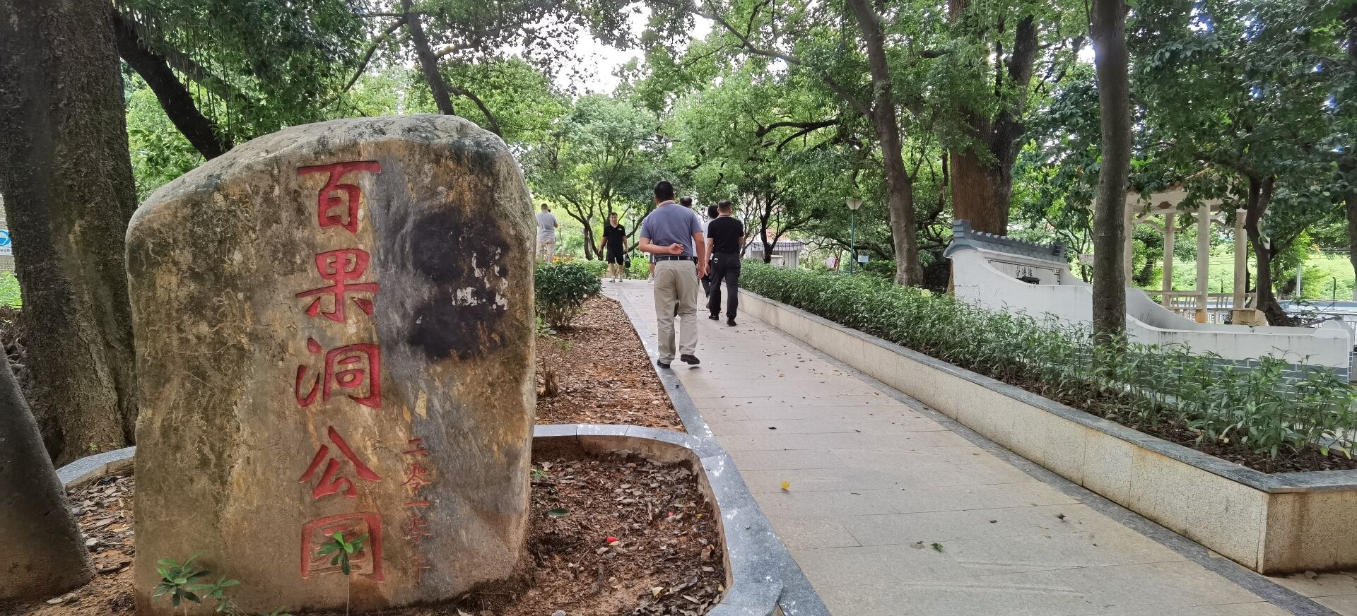 樟木头67百果洞社区创建特色精品村推动社区旧貌换新颜