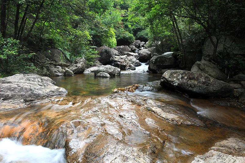 谢岗银瓶山图片