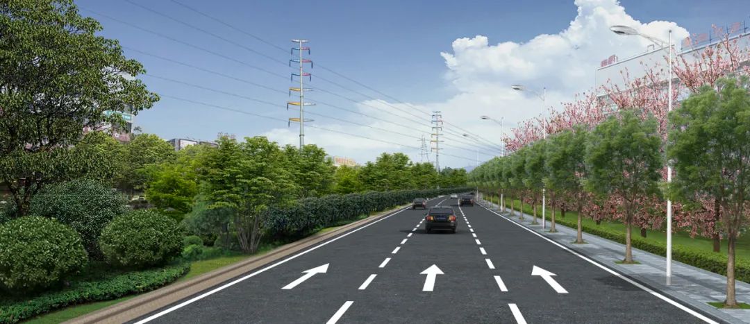 麻涌这条路入选2021年度省"十大最美农村路提名路线"名单!