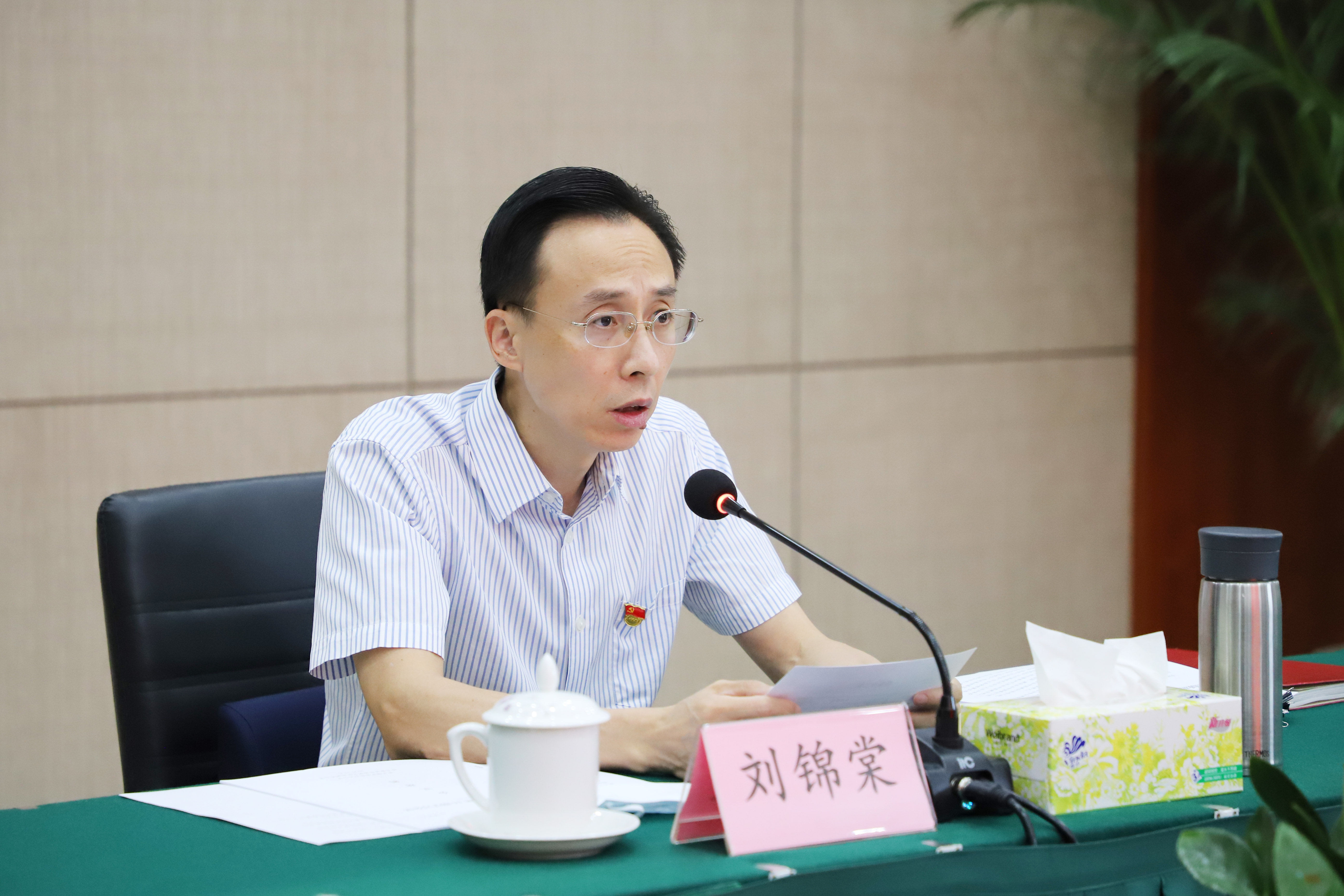 会议首先开展法治政府建设专题学习,由镇委副书记,镇长刘锦棠领学.