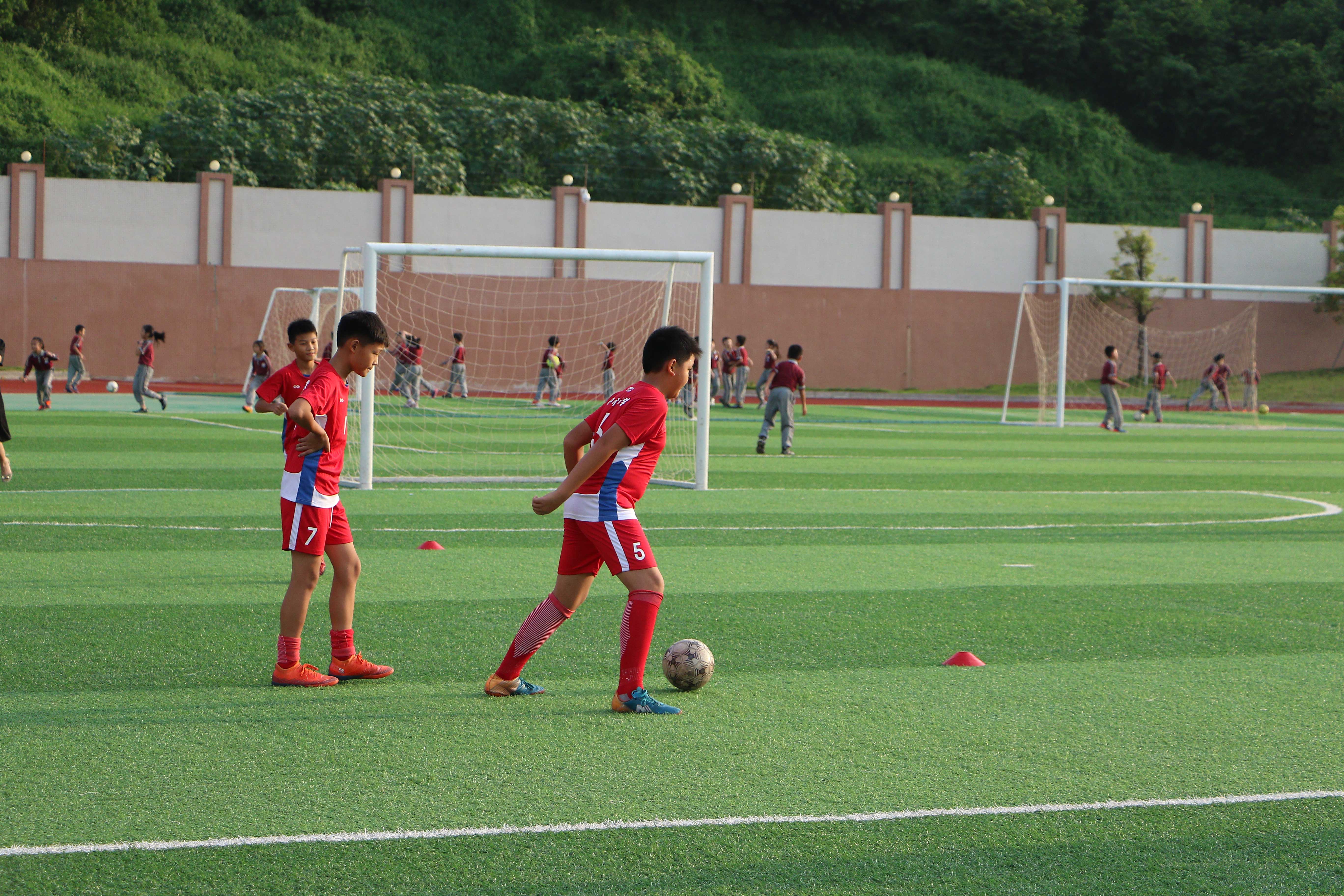 凤岗镇中心小学新校区图片