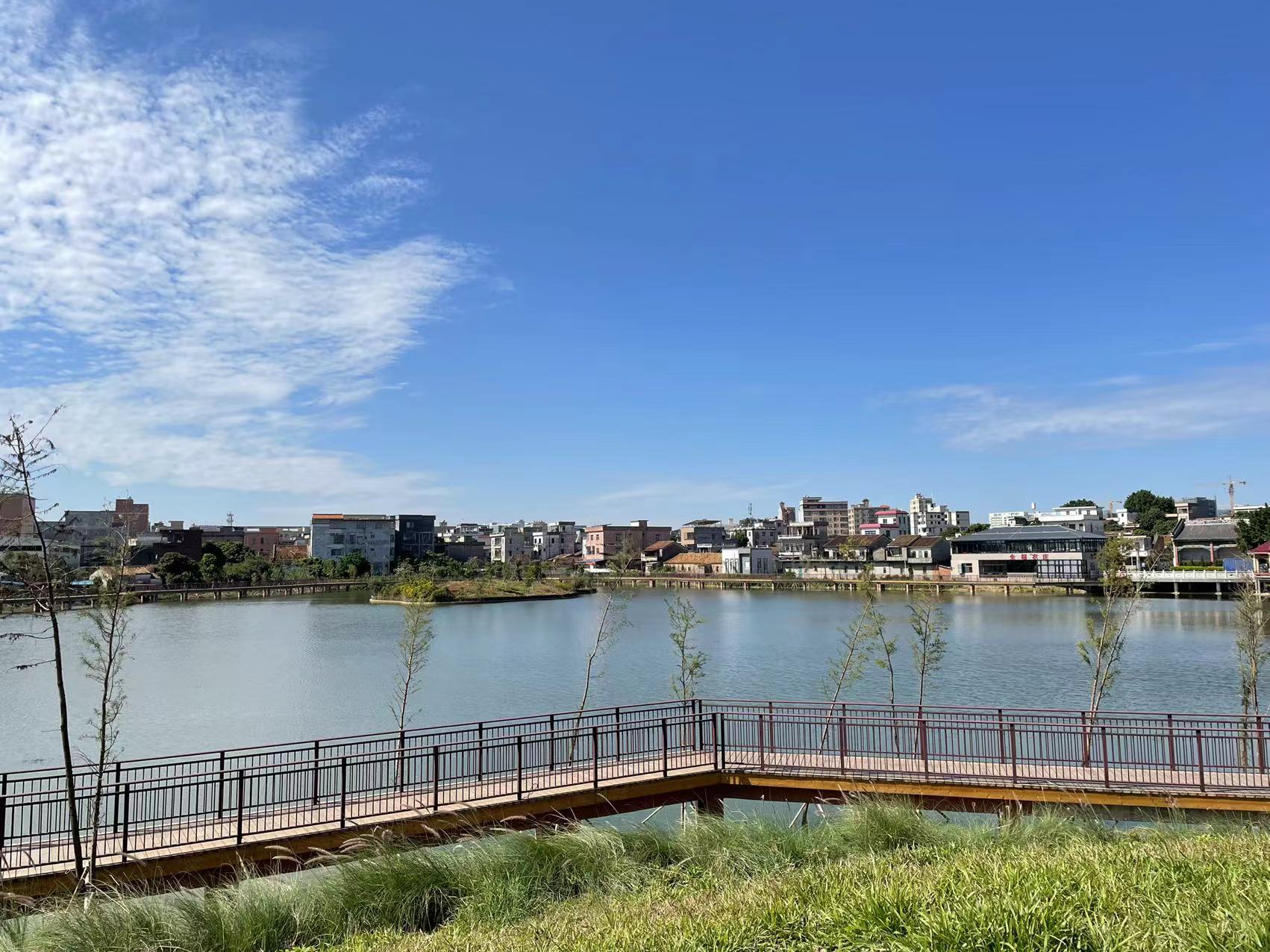 我为群众办实事|又一休闲娱乐好去处 横沥首个市级湿地公园即将落成