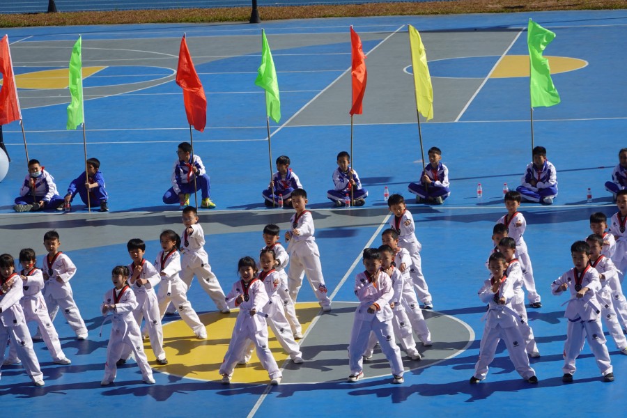 虎门镇博涌小学第二届博享体育艺术节开幕