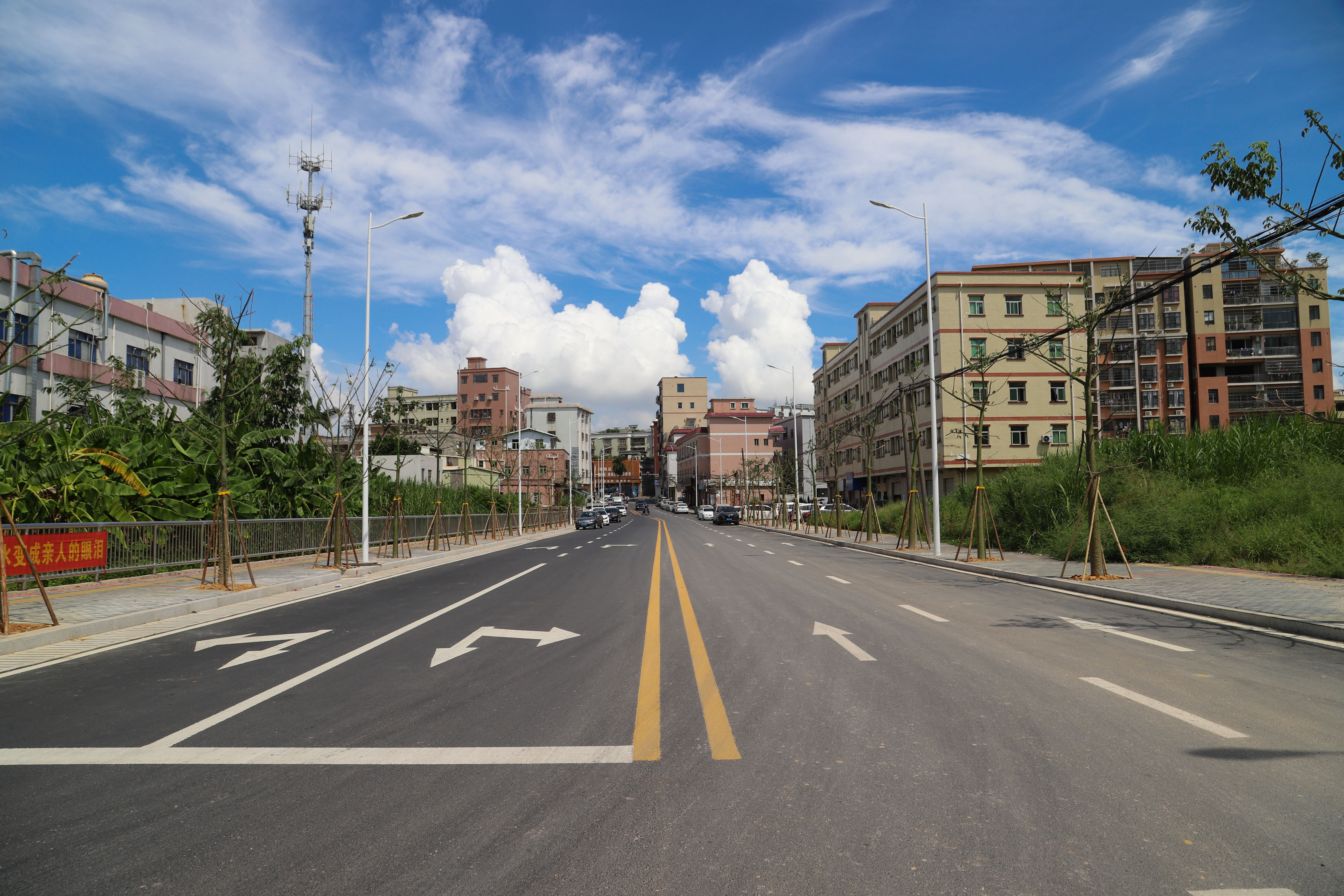 谢岗镇农村人居环境整治从摆脱脏乱差到追求乡村美